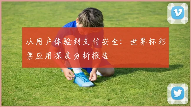 从用户体验到支付安全：世界杯彩票应用深度分析报告