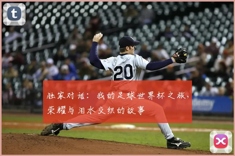 独家对话：我的足球世界杯之旅，荣耀与泪水交织的故事