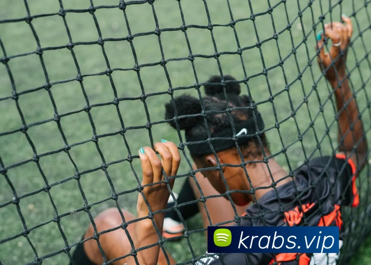 开云官方在线登陆入口APP 封面图